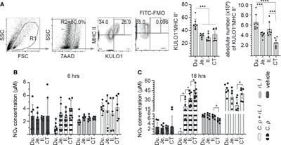 Ex Vivo Differential Responsiveness to Clostridium perfringens and Lactococcus lactis by Avian Small Intestine Macrophages and T Cells